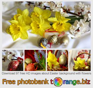 images free photo bank tOrange offers free photos from the section:  easter-background-flowers