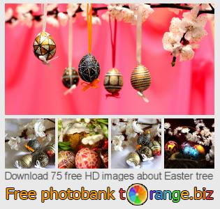 images free photo bank tOrange offers free photos from the section:  easter-tree