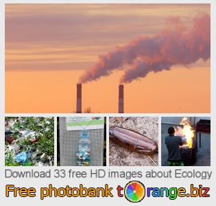 images free photo bank tOrange offers free photos from the section:  ecology