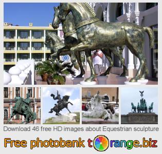 images free photo bank tOrange offers free photos from the section:  equestrian-sculpture