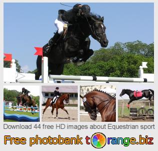 images free photo bank tOrange offers free photos from the section:  equestrian-sport