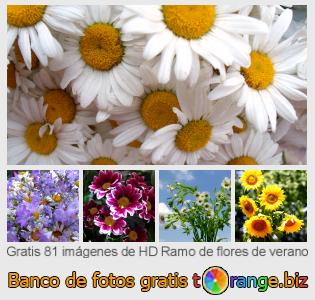 Banco de imagen tOrange ofrece fotos gratis de la sección:  ramo-de-flores-de-verano