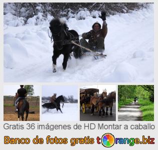 Banco de imagen tOrange ofrece fotos gratis de la sección:  montar-caballo