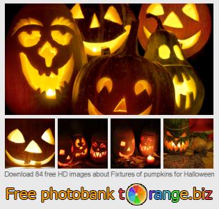images free photo bank tOrange offers free photos from the section:  fixtures-pumpkins-halloween