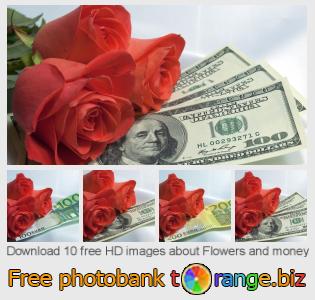 images free photo bank tOrange offers free photos from the section:  flowers-money