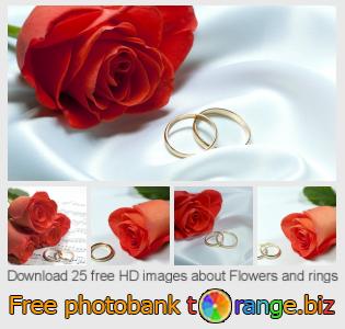 images free photo bank tOrange offers free photos from the section:  flowers-rings