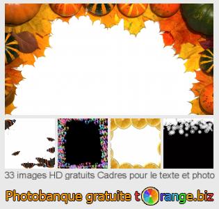 Banque d'images tOrange offre des photos libres de la section:  cadres-pour-le-texte-et-photo