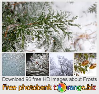 images free photo bank tOrange offers free photos from the section:  frosts