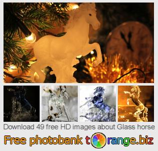 images free photo bank tOrange offers free photos from the section:  glass-horse