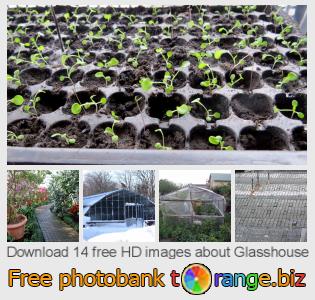 images free photo bank tOrange offers free photos from the section:  glasshouse