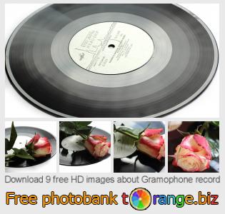 images free photo bank tOrange offers free photos from the section:  gramophone-record