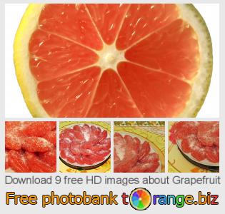 images free photo bank tOrange offers free photos from the section:  grapefruit