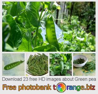 images free photo bank tOrange offers free photos from the section:  green-pea