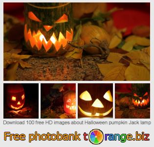 images free photo bank tOrange offers free photos from the section:  halloween-pumpkin-jack-lamp