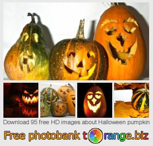 images free photo bank tOrange offers free photos from the section:  halloween-pumpkin