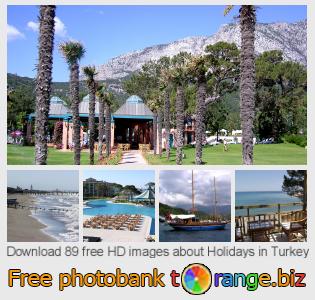 images free photo bank tOrange offers free photos from the section:  holidays-turkey