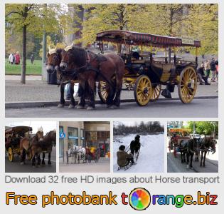 images free photo bank tOrange offers free photos from the section:  horse-transport