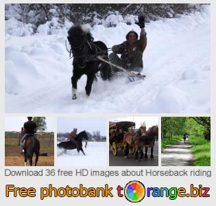 images free photo bank tOrange offers free photos from the section:  horseback-riding