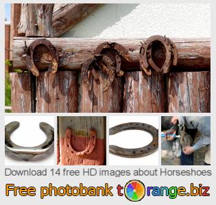 images free photo bank tOrange offers free photos from the section:  horseshoes