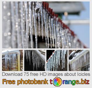 images free photo bank tOrange offers free photos from the section:  icicles