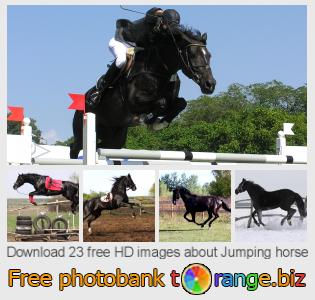 images free photo bank tOrange offers free photos from the section:  jumping-horse