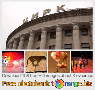 images free photo bank tOrange offers free photos from the section:  kiev-circus