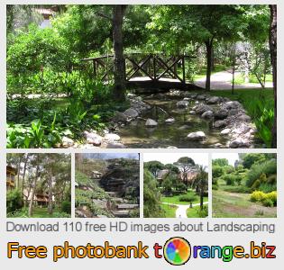 images free photo bank tOrange offers free photos from the section:  landscaping