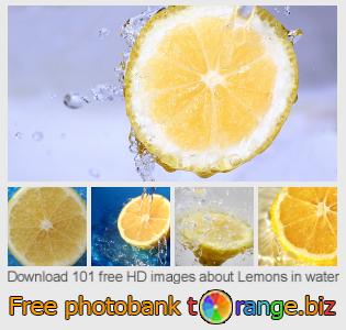 images free photo bank tOrange offers free photos from the section:  lemons-water