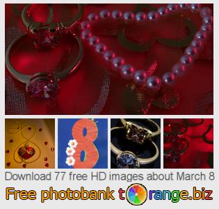images free photo bank tOrange offers free photos from the section:  march-8