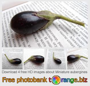 images free photo bank tOrange offers free photos from the section:  miniature-aubergines