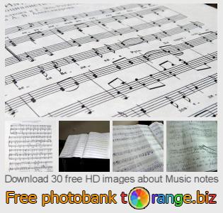 images free photo bank tOrange offers free photos from the section:  music-notes