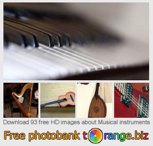 images free photo bank tOrange offers free photos from the section:  musical-instruments