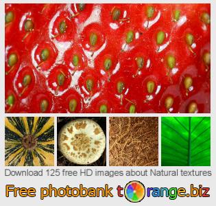 images free photo bank tOrange offers free photos from the section:  natural-textures
