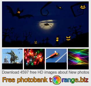 images free photo bank tOrange offers free photos from the section:  new-photos