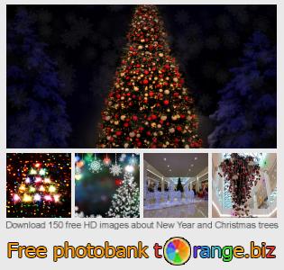 images free photo bank tOrange offers free photos from the section:  new-year-christmas-trees