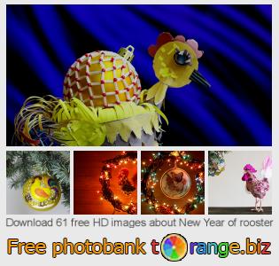 images free photo bank tOrange offers free photos from the section:  new-year-rooster