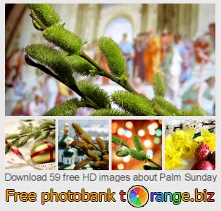 images free photo bank tOrange offers free photos from the section:  palm-sunday