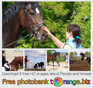 images free photo bank tOrange offers free photos from the section:  people-horses