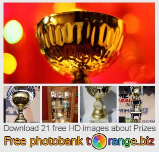 images free photo bank tOrange offers free photos from the section:  prizes
