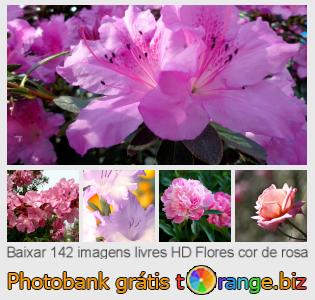 Banco de imagem tOrange oferece fotos grátis da seção:  flores-cor-de-rosa