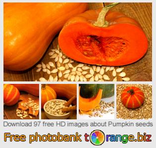 images free photo bank tOrange offers free photos from the section:  pumpkin-seeds