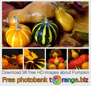 images free photo bank tOrange offers free photos from the section:  pumpkin