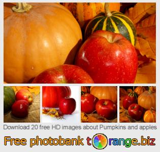 images free photo bank tOrange offers free photos from the section:  pumpkins-apples