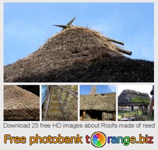 images free photo bank tOrange offers free photos from the section:  roofs-made-reed