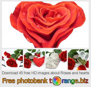 images free photo bank tOrange offers free photos from the section:  roses-hearts