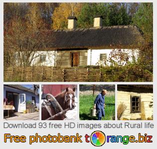 images free photo bank tOrange offers free photos from the section:  rural-life