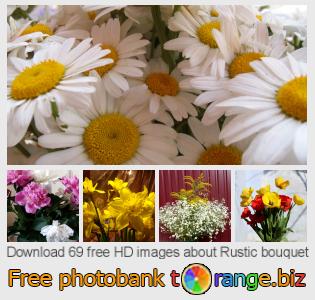 images free photo bank tOrange offers free photos from the section:  rustic-bouquet