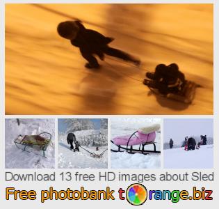 images free photo bank tOrange offers free photos from the section:  sled