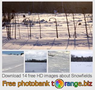 images free photo bank tOrange offers free photos from the section:  snowfields