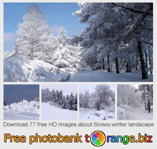images free photo bank tOrange offers free photos from the section:  snowy-winter-landscape